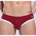Premium Briefs Underwear for Men
